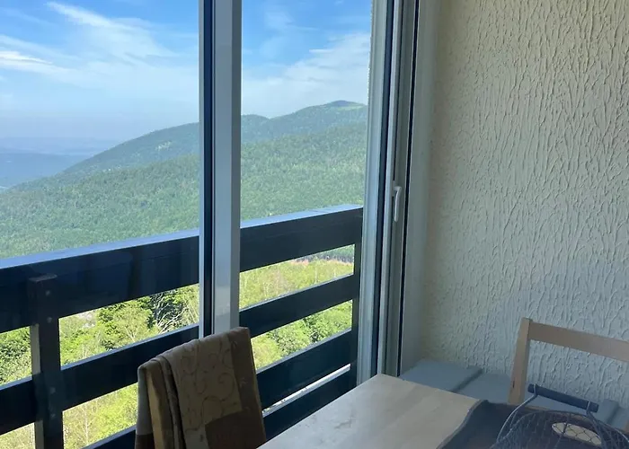 Charment Lägenhet Montferrier